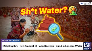Mahakumbh: High Amount of Poop Bacteria Found in Sangam Water