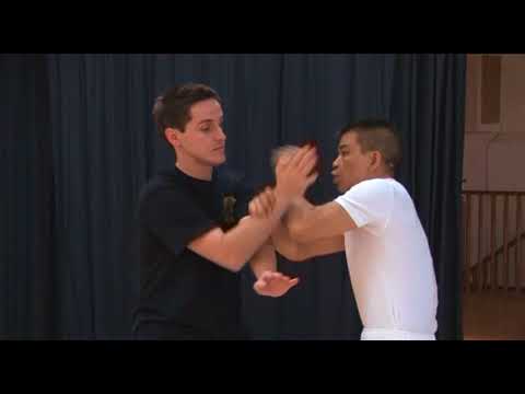 Joseph Lee Full Length Wing Chun Instructional DVD