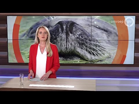 Kijk op Gelderland 26 juni 2019