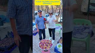 🎭 ORHANELİ’DE 33. KARAGÖZ KÜLTÜR ŞENLİĞİ COŞKUSU!Bursa