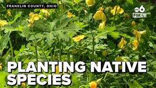 Inspiring and transforming yards with native plant species