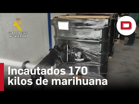 La Guardia Civil localiza en Granada 170 kilos de marihuana escondidos en bidones