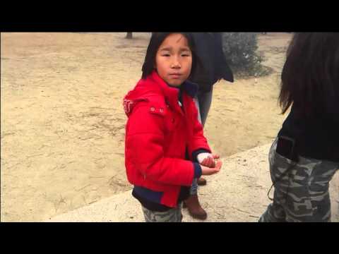 1@ bbk 2016 can miret