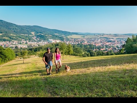 Sušice - The Gateway to the Šumava Mountains