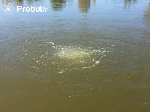 Systèmes d'aération pour lac et étang robust-aire - probul_5