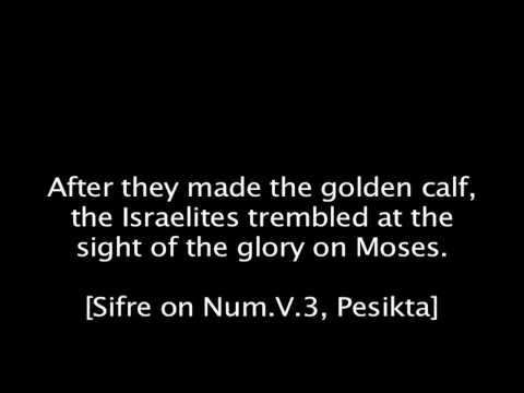 50 Commentaries About Parashat Ki Tisa [Part 3]