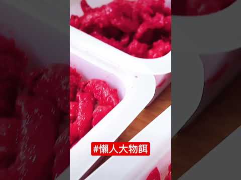 懶人大物餌