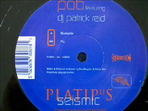 pob feat. dj patrick reid- bluebottle