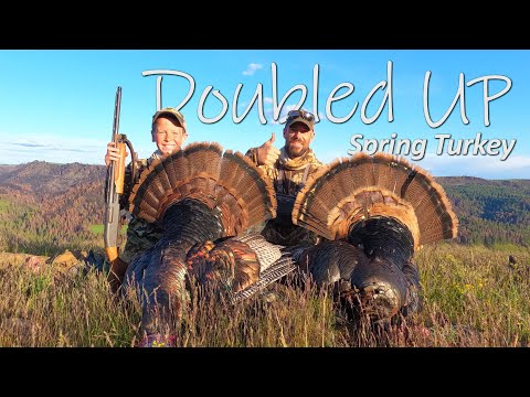 Idaho Mountain Birds - an EPIC Turkey Hunt!