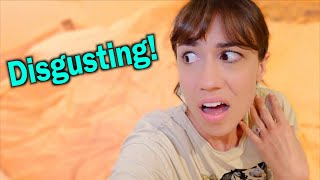 New Pet Snake & My Garden Infestation