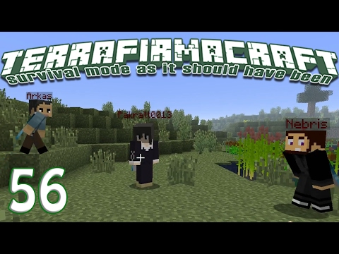 Terrafirmacraft Reloaded - E56 - Cows (Minecraft)