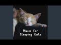 Cats Are on a Blanket While Listening to Music