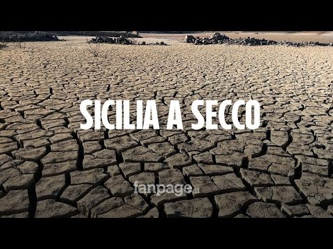 Allarme siccità in Sicilia, la vergogna delle dighe: "Condotte colabrodo, agricoltura senz'acqua"