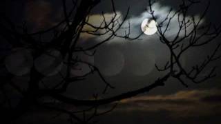 Laurie Beechman - Memory (1990)