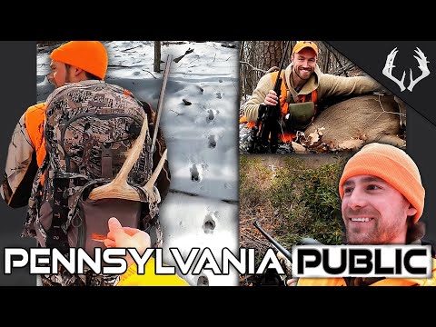 Jagd auf öffentlichem Land in Pennsylvania – Weißwedelhirschjagd-Saison in den großen Wäldern | Film