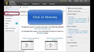 Examity - How to Login From Canvas