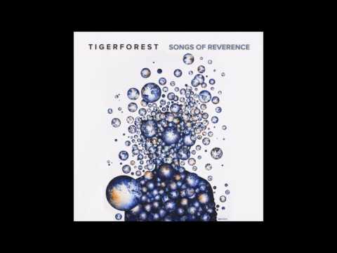Tigerforest - Through The Trees Into The Water
