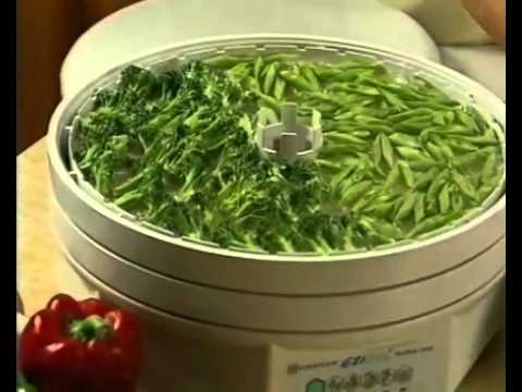download lagu mp3 mp4 Ezidri Snackmaker Food Dehydrator Reviews, download lagu Ezidri Snackmaker Food Dehydrator Reviews gratis, unduh video klip Ezidri Snackmaker Food Dehydrator Reviews