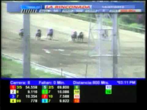 Resumen Sábado, 14 de Julio de 2012 - La Rinconada