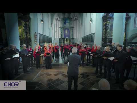 „Trilo“ Bengt Ollén (*1950 Schweden)