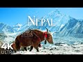 NEPAL4K - SCENIC RELAXATION FILM WITH PEACEFUL RELAXING MUSIC AND NATU ..