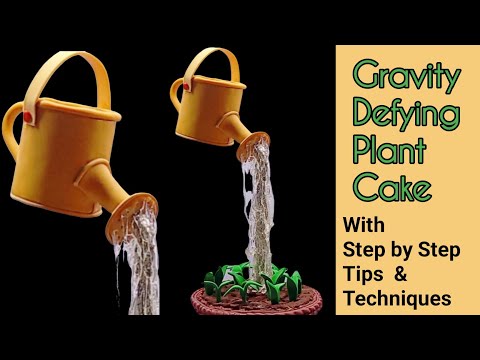 Gravity Defying Cake Tutorial | Watering Can Cake Step By Step Guide | Gravity Defying Cake Stand