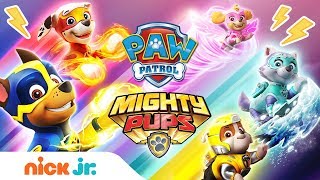 Meet the Mighty Pups Ft. Chase, Rubble, Skye &amp; More!  🐾 PAW Patrol Nick Jr.