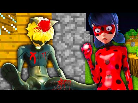 UĞUR BÖCEĞİ KARA KEDİYİ ÖLDÜRDÜ! 😱 - Minecraft