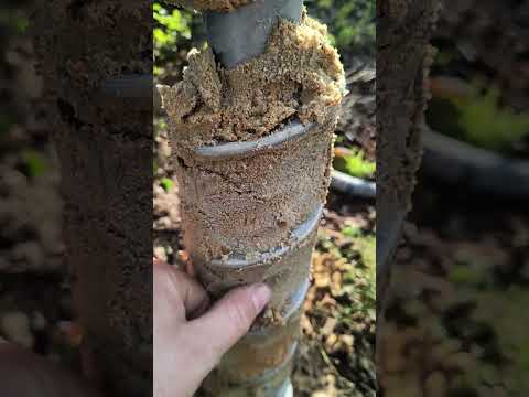 78. Bartoszówka - piaski drobne plus średnie, punktowo pył