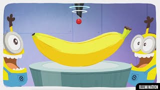 SATURDAY MORNING MINIONS | Episódio 36 - Top Banana (Illumination Entertainment) HD