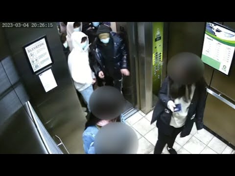 The Asian Gangs of New York