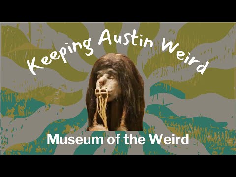 Video – Page 7 – The Daily Texan