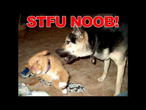 BFF Report - Ep 04 - Champion's Online