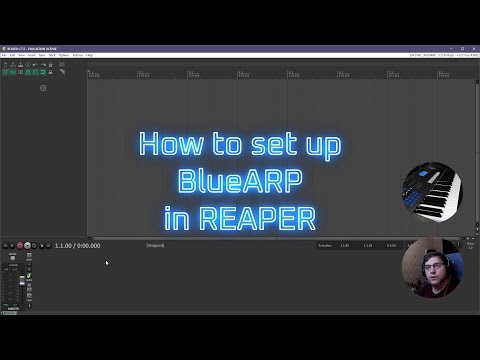How to set up BlueARP in REAPER (tutorial)