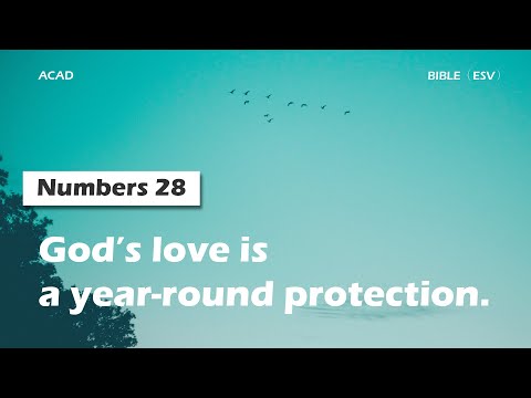 【Numbers 28】God’s love is a year-round protection.  ｜ACAD Bible Reading