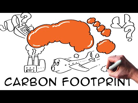 Your Carbon Footprint Explained | How to Calculate and Reduce It?