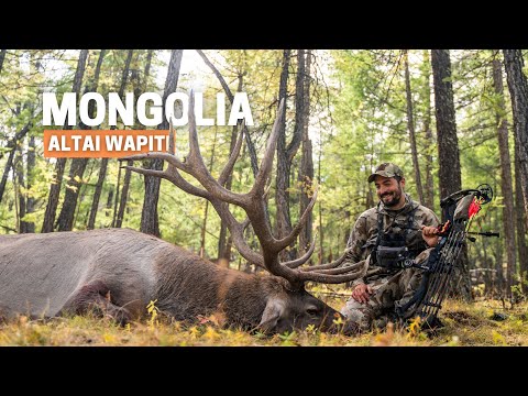 , title : 'New World Record Elk: Bowhunting the Altai Wapiti in Mongolia'