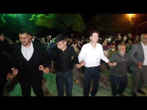 Burak Karahan -Canlı Halaylar 2025 (Karahan Ailesi) Düğün Töreni