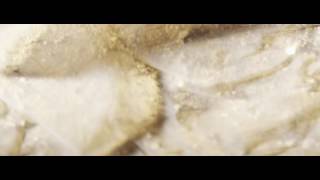 Tamaryn - Sugarfix (Teengirl Fantasy Mix) [Official Video]