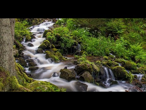 5 часов - Успокаивающий звук ручья. Лесной ручей, Звуки природы. Шум воды. Горный ручей. Релакс