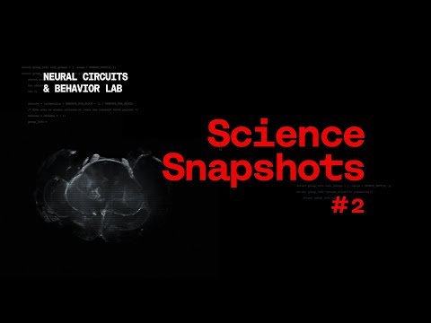 Science Snapshot: Run Faster Learn Better / Quem Corre Mais Depressa Aprende Melhor