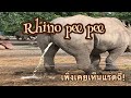 Rhino Pees แร่ดฉี่