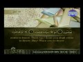 Surah At-Takathur - Sheikh Ahmed Al Ajmi 