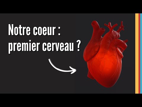 L’intelligence du cœur | Documentaire de @lasymphoniedelavie  #Science #Biologie
