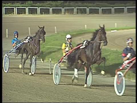 Trotto 30/07/2016 - 2° corsa