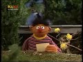 Sesame Street Ernie S Forest Fashion Report