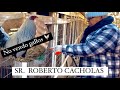 Precentando los gallos 🐓 Del señor Roberto CACHOLAS  🔥 CORTE Y CASTA 🐓🔥