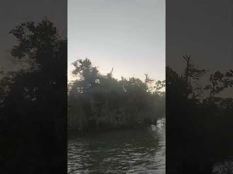 Cienaga de Unguia Choco #reels #fypシ #fyp #viral #shorts #short #video