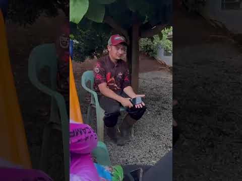 27 de janeiro de 2026