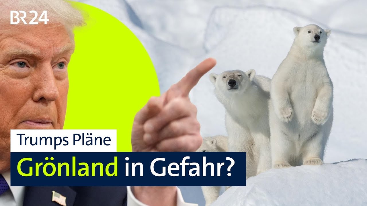 Warum Trump Grönland "haben" will: Gründe und Geschichte | BR24